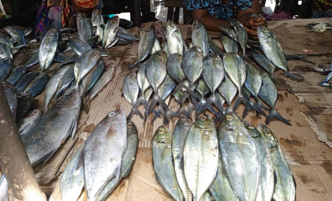 Cherté du prix du poisson sur le marché : diverses raisons évoquées par les vendeuses