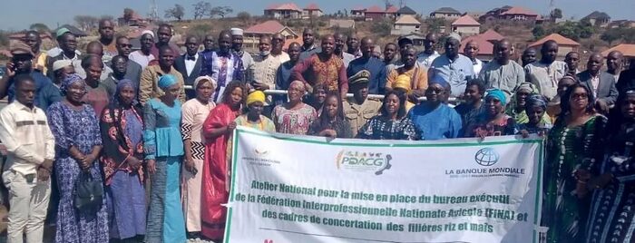 Mamou: la mise en place des bureaux nationaux d’organisations socioprofessionnelles de filières agricoles au menu d’un atelier